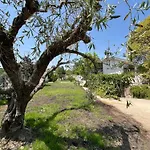 Villa Higuerita *