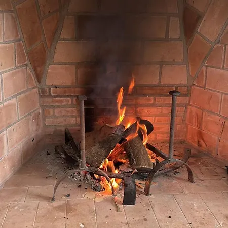 Higuerita Higuera de las Dueñas