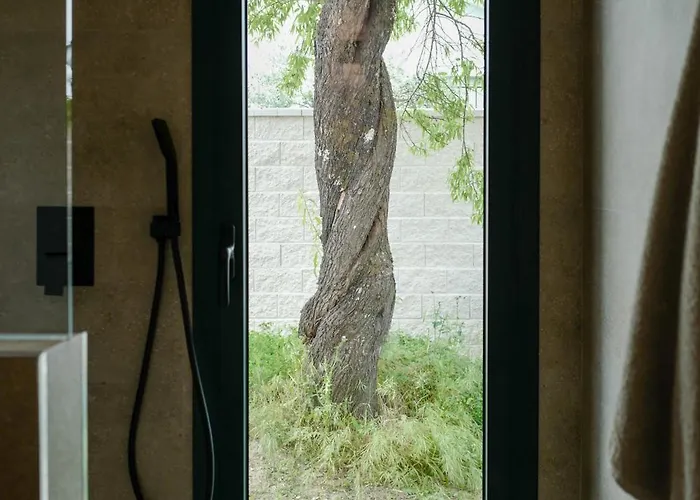 Villa Higuerita Higuera de las Dueñas